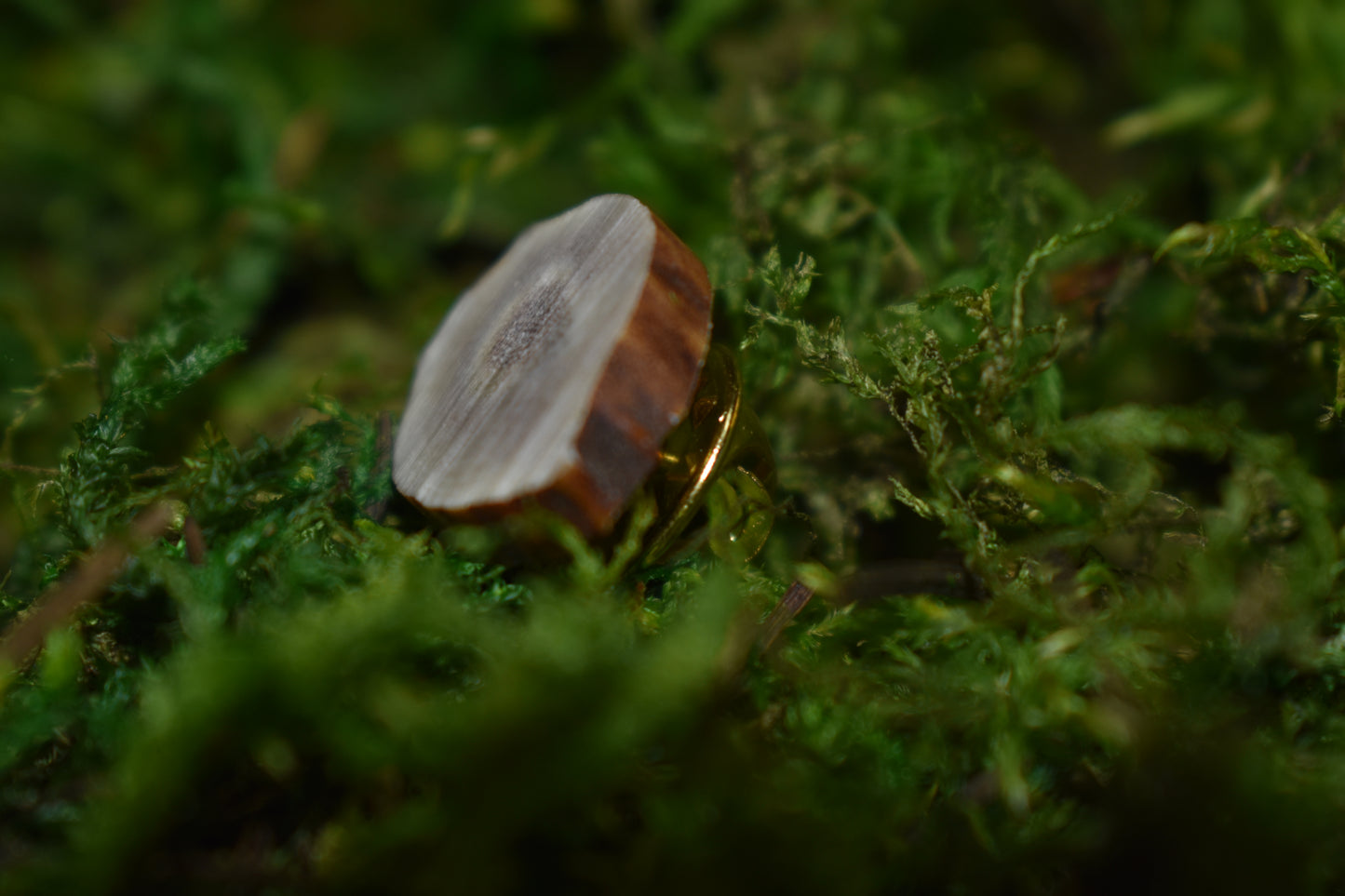 Antler Pins