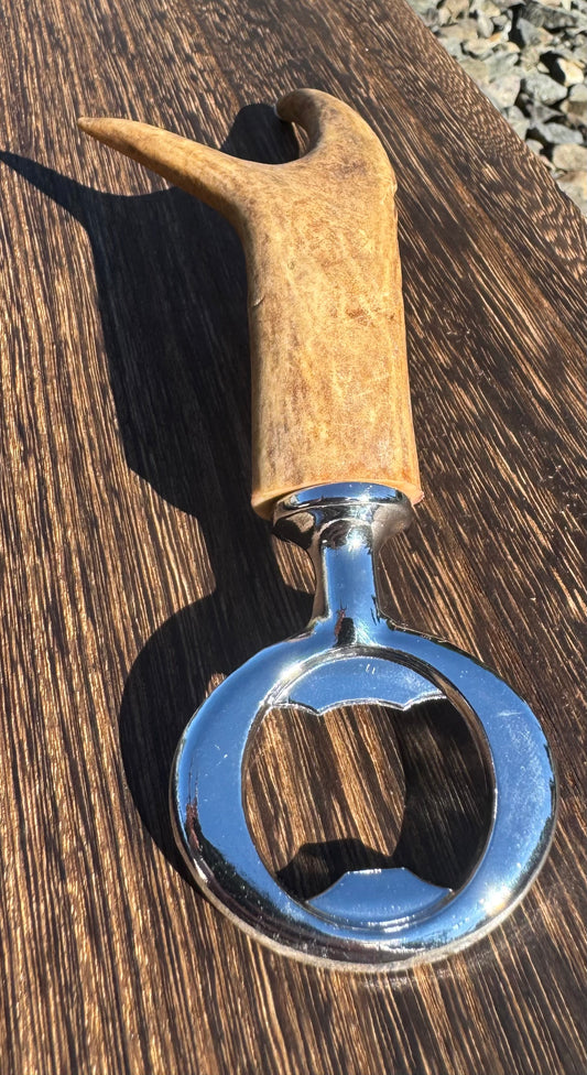 Antler bottle opener